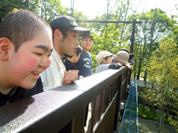 旭山動物園旅行